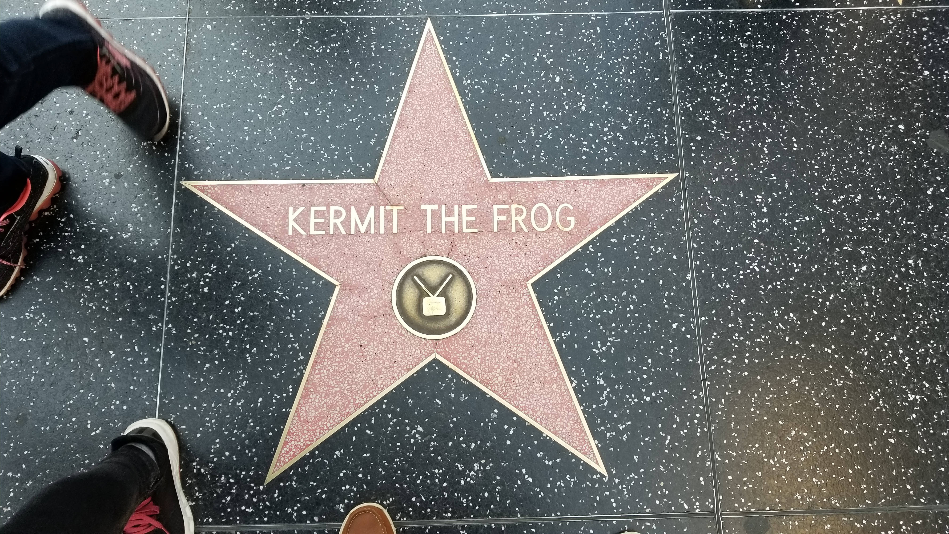 Kermit Star