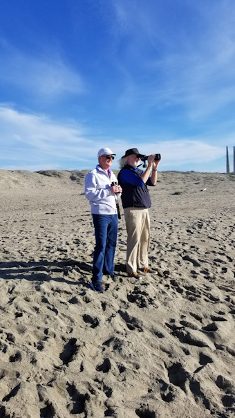Bird watching at the beach