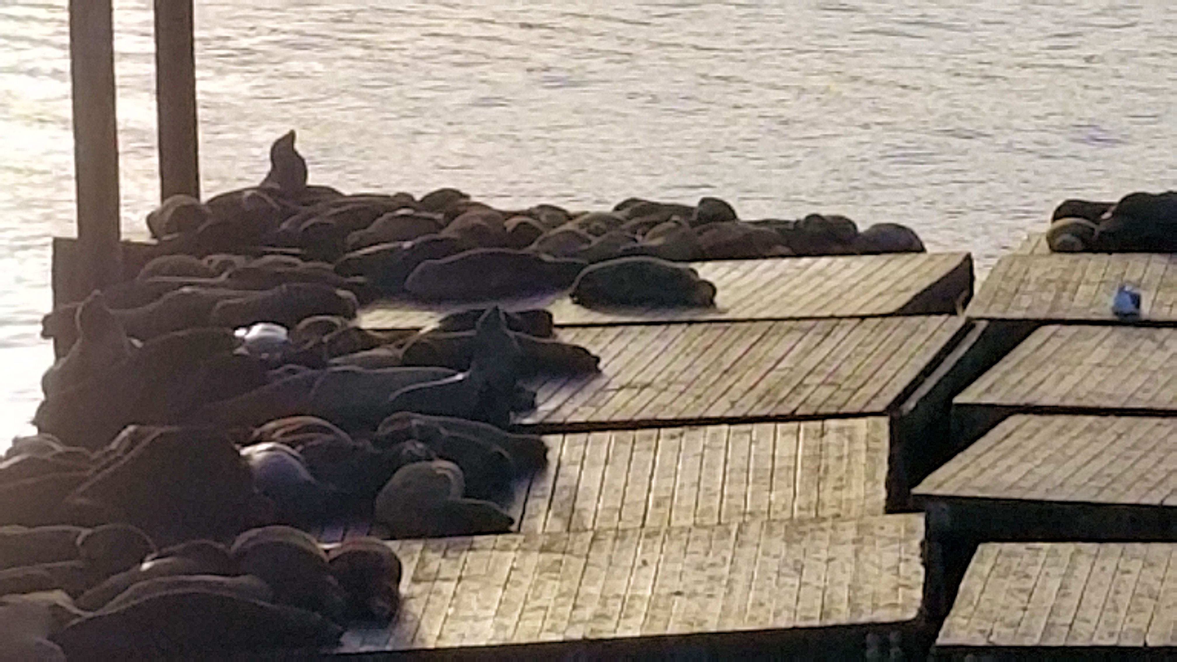 Seals